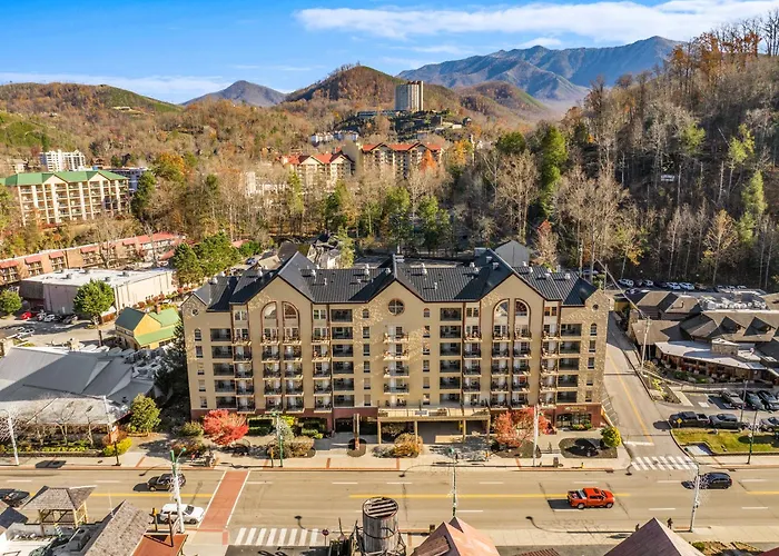 Black Bear Inn & Suites